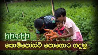 නිවැරදිව කොම්පෝස්ට් පොහොර හදමු | How to simply make compost ~ Ranbimata Arunella | රන් බිමට අරුණැල්ල