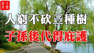 老人常說：“人窮不砍3種樹，子孫後代得佑護”，指的是哪3樹？你家有嗎？#大佬你好啊