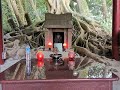 龍潭伯公傳說 46三水里福德祠 一 小北坑 三鄰榕樹 顯伯公