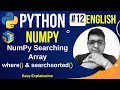 NumPy Searching Array || where & searchsorted || Complete Python Numpy Tutorial
