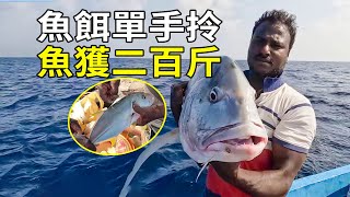 幾斤好魚當誘餌，不僅拿下六十斤大醜魚，更有五條米級大魚消消樂