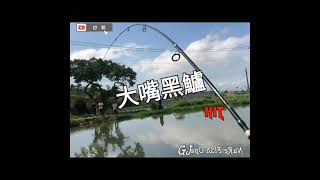 【NuKe FiSh Opa】滿滿都是驚喜，路亞休閒池的爆發户，三百俱樂部，BASS Fishing Tips。BASS! BASS! BASS! (vlog)