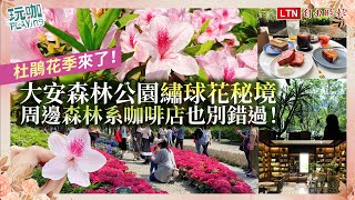 杜鵑花季來了！順遊大安森林公園「繡球花秘境」周邊森林系咖啡店也別錯過！