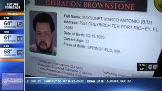 Pasco deputies arrest two brothers in 'Operation Brownstone'
