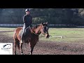 Rider Fitness, Exercise #35 Riding without Stirrups