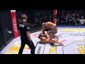 ex ufc light heavyweight fighter gets brutally ko d