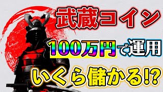 武蔵コインを100万円で運用した場合いくら儲かるの？【シミュレーション】【MSS】