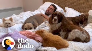 Guy Sleeps In Bed Full Of Rescue Animals | The Dodo