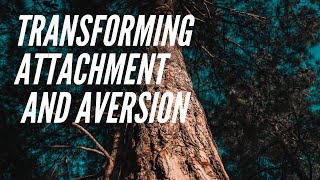 Transforming Attachment and Aversion Meditation - Online Practice Session with Anya Adair
