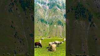 most beautiful places on earth,#ytshorts #explore #shorts
