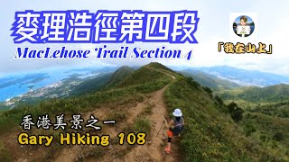 麥理浩徑第四段 MacLehose Trail Section 4 「我在山上」Gary Hiking 108 香港美景之一