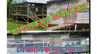 ছাগলের ঘর কেমন হওয়া উচিত? goat farming।। cross bread goat farm।। ছাগল খামার।।