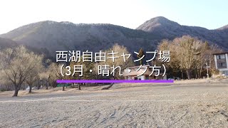 西湖 自由キャンプ場【20秒動画】山梨県｜Campism