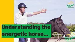 Understanding an energetic horse