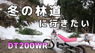 DT200WR   冬の林道に行きたい　VOL.93