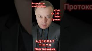 Адвокат Тізул Олег Іванович. Київ. Ведення судових справ.