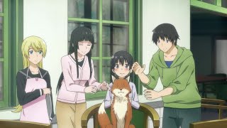 What Does the Fox Say? (Flying Witch)