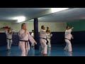 wskf spain session training october 2019 kihon combination 1 3