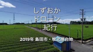 茶畑続くよどこまでも　しずおかドローン紀行　お茶編　３回目　牧之原台地