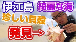 沖縄伊江島の海が綺麗なビーチで珍しい貝殻拾いしてみた｜パート１