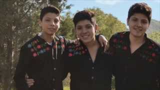 Las 3 Huastecas - Trio Hermanos Sagahón [AUDIO]