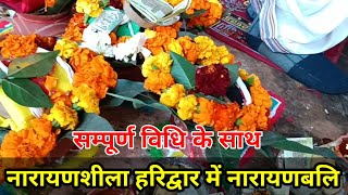 नारायण बली प्रेत दोष पितृ दोष का उपाय | Narayan bali kaise hota hai|Narayan bali Puja Vidhi Haridwar