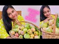 Passion fruit harvest | Meghna Studiobox