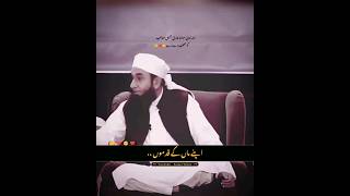 Maa & Baap 🥺❤️ || Tariq Jameel || Deeplines || Heart Touching || Islamic Status || Faisal Typist