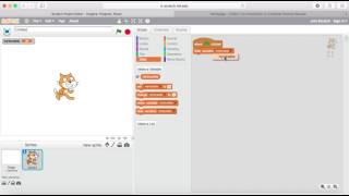 How to Learn to Hide Variable Scratch Data Block Orange