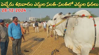 పెబ్బేరు శనివారం ఎద్దుల సంత | Pebbair Saturday Bulls market | Oxen prices | 28-12-2024 ‎@purnafarms 