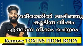 REMOVE TOXINS FROM BODY 🚫 | ശരീരത്തിൽ അടിഞ്ഞു കൂടിയ വിഷാംശങ്ങൾ എങ്ങനെ നീക്കം ചെയ്യാം