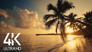 8 HOURS Calm Ocean Waves Sounds - Tropical Beach Sunrise 4K Video