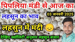 लहसुन भाव आज का पिपलिया मंडी today garlic rate Pipliya Mandi 03 janvari 2025