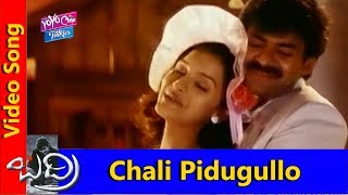 Chali Pidugullo Video Song | Badri Movie Songs | Pawan Kalyan,Amisha Patel | YOYO Cine Talkies