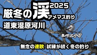 厳冬の渓2025アメマス釣り【湿原河川の釣り】