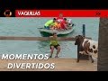 MOMENTOS DIVERTIDOS CON VACAS BRAVAS DEL AÑO 2018 😂😅