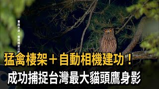 猛禽棲架＋自動相機 捕捉台灣最大貓頭鷹黃魚鴞身影－民視新聞