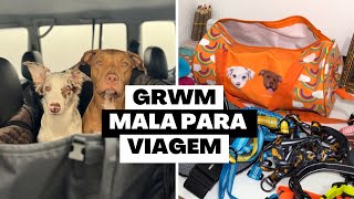 Mala de viagem pet | o que levar na mala?