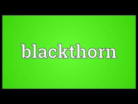 What does Blackthorn mean?