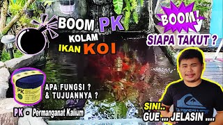 BOM PK (Permanganat Kalium) DI Kolam Ikan Koi | Siapa Takut?