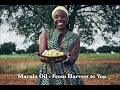 Marula Oil: From Botswana to You