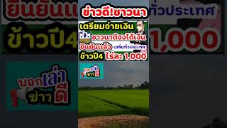 เตรียมจ่ายเงินชาวนา#ประกันรายได้ข้าวปี4#ธกส.จ่ายเงินชาวนา#ค่าเก็บเกี่ยวไร่ละ1000#ข้าวปี4#เงินชาวนา