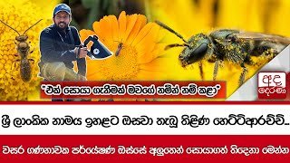 පර්යේෂක තිළිණ හෙට්ටිආරච්චි නව මී මැසි වර්ග 3ක් සොයාගනී...