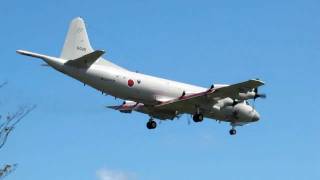 2011.9.13 厚木基地 海上自衛隊 P-3C #5025 着陸