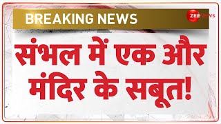 Sambhal Mandir: संभल में एक और मंदिर के सबूत! | Breaking News | Uttar Pradesh News | Hindi News