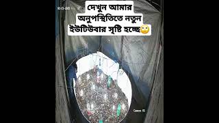 দেখুন আমার অনুপস্থিতিতে নতুন ইউটিউবার সৃষ্টি হচ্ছে🙄 #shorts #quail #reels #reelsvideoシ #quailfarming