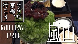 【Vlog】京都旅行！嵐山観光グルメ ♬天龍寺と渡月橋、竹林、嵯峨野トロッコ列車、リキシャカフェ、嵐山モンキーパーク、二条城などを巡ります♬３泊４日の旅！御朱印巡りもしますよ♬