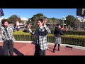 tdl　zip n zoom guided tours　ジップンズーム・ガイドツアー