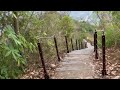 南投 草屯 景點 九九峰步道 親子 登山 群峰