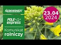 Ochrona rzepaku w fazie kwitnienia - komunikat POLE express | Agrosimex